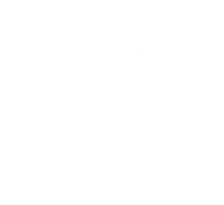 The Arena